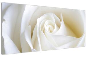 Tablou cu tandafir alb (120x50 cm)