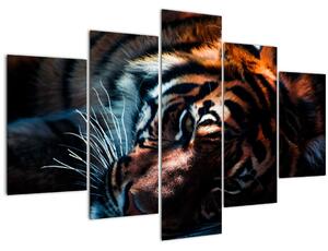 Tablou cu tigrul dormind (150x105 cm)