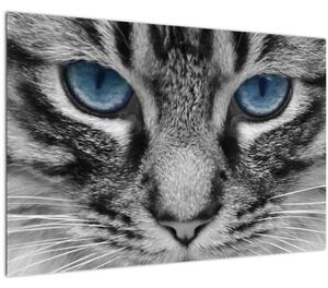 Tablou cu pisica (90x60 cm)