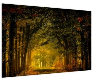 Tablou cu pădure (90x60 cm)