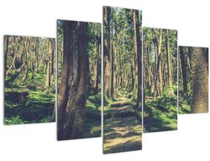 Tablou cu drum între copaci (150x105 cm)