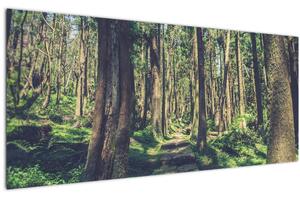 Tablou cu drum între copaci (120x50 cm)