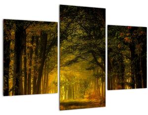 Tablou cu pădure (90x60 cm)