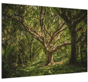 Tablou cu copaci (70x50 cm)