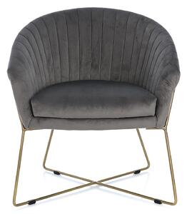 Fotoliu Felice gri 85/65/73 cm