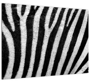 Tablou pe sticlă cu piele de zebră (70x50 cm)