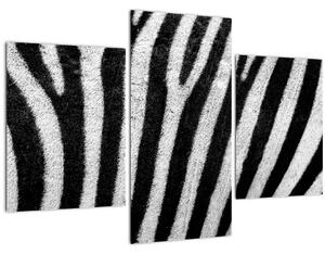 Tablou cu piele de zebră (90x60 cm)