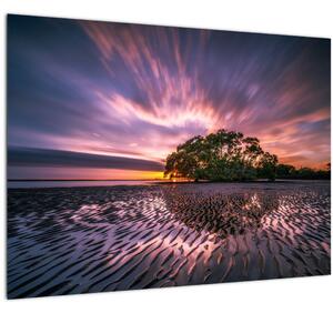 Tablou cu plajă în apus de soare (70x50 cm)