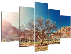 Tablou cu cu copac în deșert (150x105 cm)