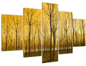 Tablou - Palntație cu pomi (150x105 cm)