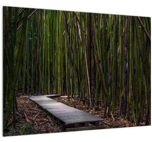 Tablou pe sticlă - Între bambus (70x50 cm)