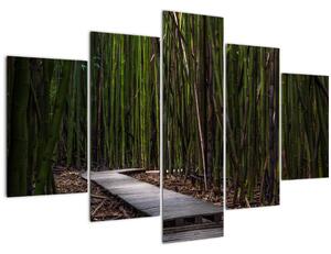 Tablou - Între bambus (150x105 cm)
