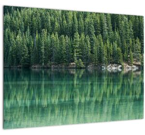 Tablou pe sticlă - Coniferi lângă lac (70x50 cm)