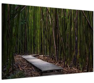 Tablou - Între bambus (90x60 cm)