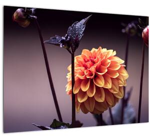 Tablou pe sticlă - Floare (70x50 cm)