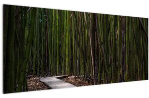 Tablou - Între bambus (120x50 cm)
