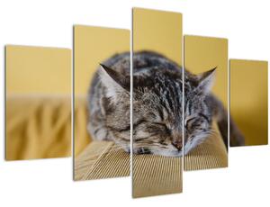 Tablou cu pisica pe fotoliu (150x105 cm)