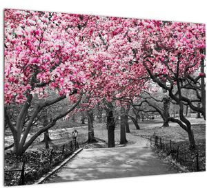 Tablou copacului magnolie (70x50 cm)