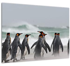 Tablou pe sticlă pinguini în ocean (70x50 cm)