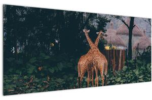Tablou cu două girafe (120x50 cm)