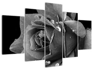 Tablou cu trandafir - albneagră (150x105 cm)