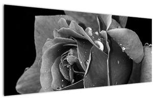 Tablou cu trandafir - albneagră (120x50 cm)