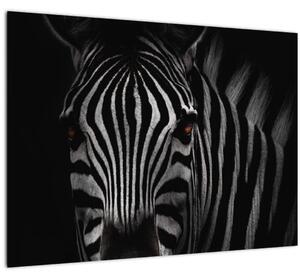 Tablou pe sticlă cu zebră (70x50 cm)