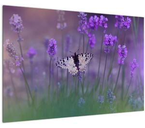 Tablou - fluture în lavandă (90x60 cm)