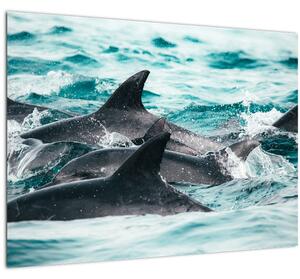 Tablou - Delfini în ocean (70x50 cm)
