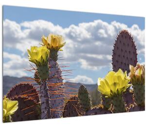 Tablou cu floarea de cactus Opunție (90x60 cm)