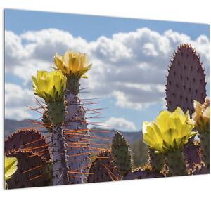 Tablou pe sticlă cu floarea de cactus Opunție (70x50 cm)