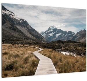Tablou - Poteca în valea muntelui Mt. Cook (70x50 cm)