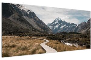 Tablou - Poteca în valea muntelui Mt. Cook (120x50 cm)