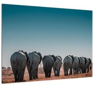 Tablou pe sticlă - Plecarea elefanților (70x50 cm)
