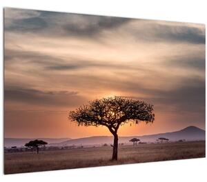 Tablou apusului de soare în Tanzania (90x60 cm)