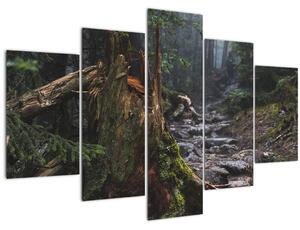 Tablou - În pădure (150x105 cm)