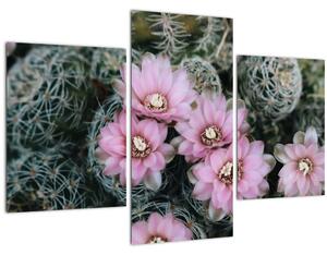 Tablou floare de cactus (90x60 cm)