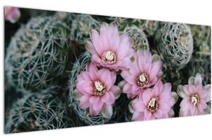 Tablou floare de cactus (120x50 cm)