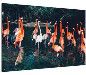 Tablou - turmă de flamingo (90x60 cm)