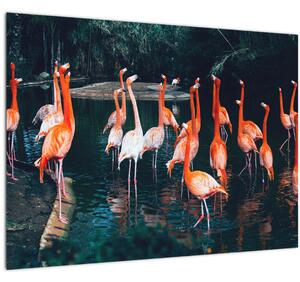 Tablou - turmă de flamingo (70x50 cm)