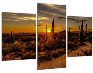 Tablou - Sfărșit de zi în deșertul Arizona (90x60 cm)