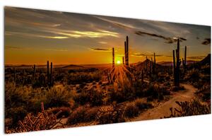 Tablou - Sfărșit de zi în deșertul Arizona (120x50 cm)