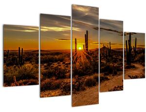Tablou - Sfărșit de zi în deșertul Arizona (150x105 cm)