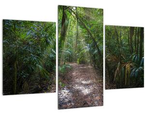 Tablou - Razele solare în junglă (90x60 cm)