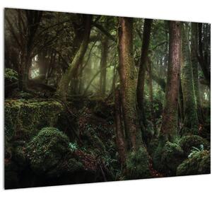 Tablou pe sticlă - Pădurea enigmatică (70x50 cm)