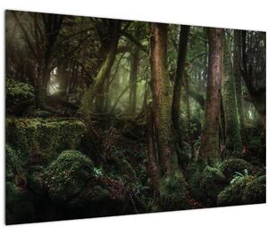 Tablou - Pădurea enigmatică (90x60 cm)
