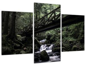 Tablou din pădurea neagră (90x60 cm)