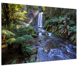 Tablou cu pădurea ploilor din Austalia (90x60 cm)