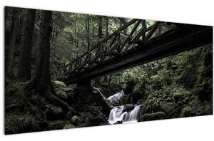 Tablou din pădurea neagră (120x50 cm)