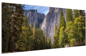 Tablou - Sub Piatra Yosemite (120x50 cm)